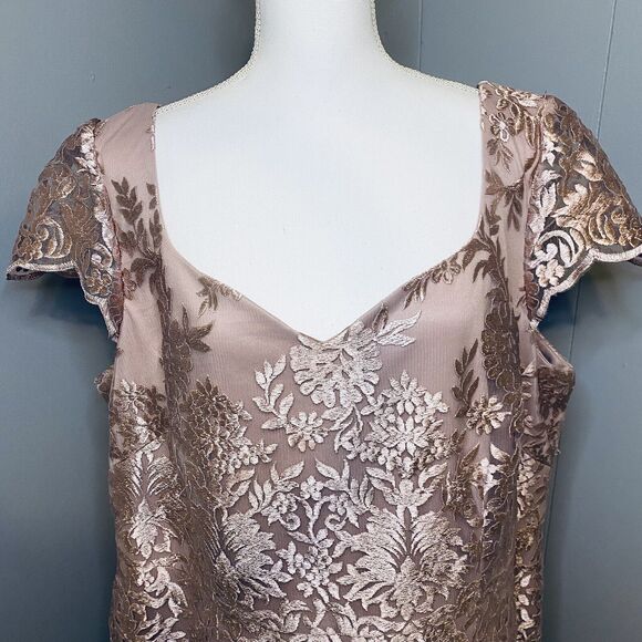 Brianna Women's Plus Size Pink Floral Embroidered Cap Sleeved Gown with Mesh - Picture 3 of 12